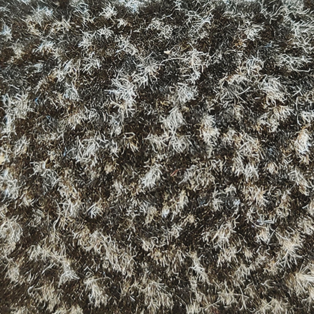  schoonloopmat Brussel 120 cm