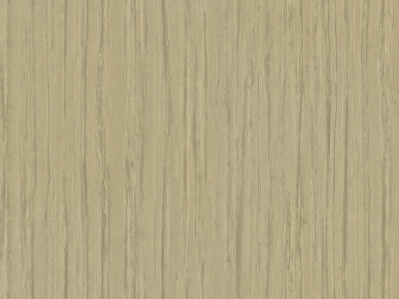 Vliesbehang Accademia Z10950