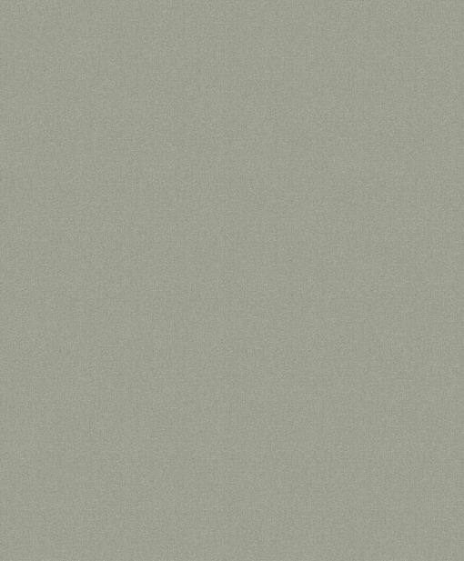 Vliesbehang Nordic Elegance 630106