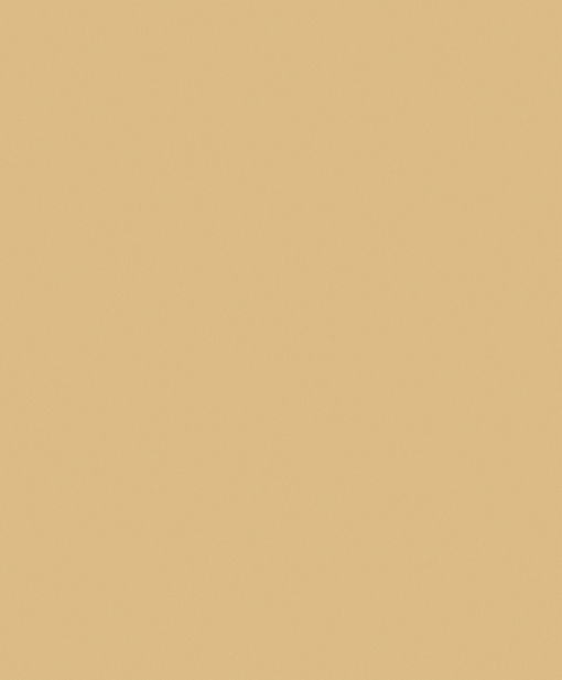 Vliesbehang Nordic Elegance 630218